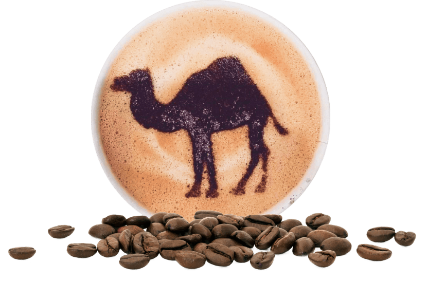Camel coffee art and roasted beans