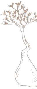 Decorative Yemeni tree art